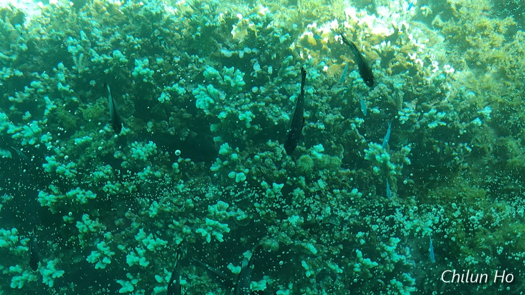 玉城玉城
